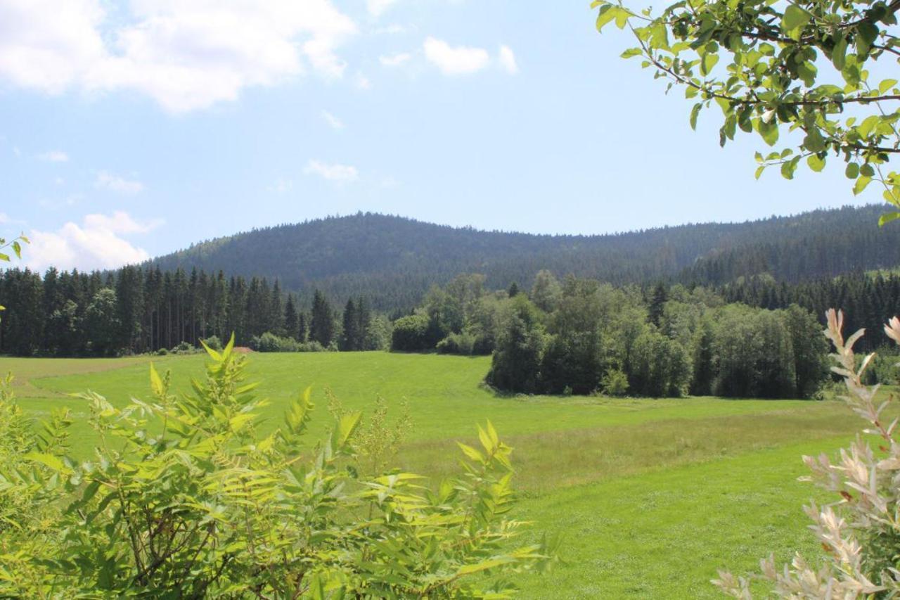 Ferienwohnungen Holzferienhaeuser Leithenwald Zwiesel Luaran gambar