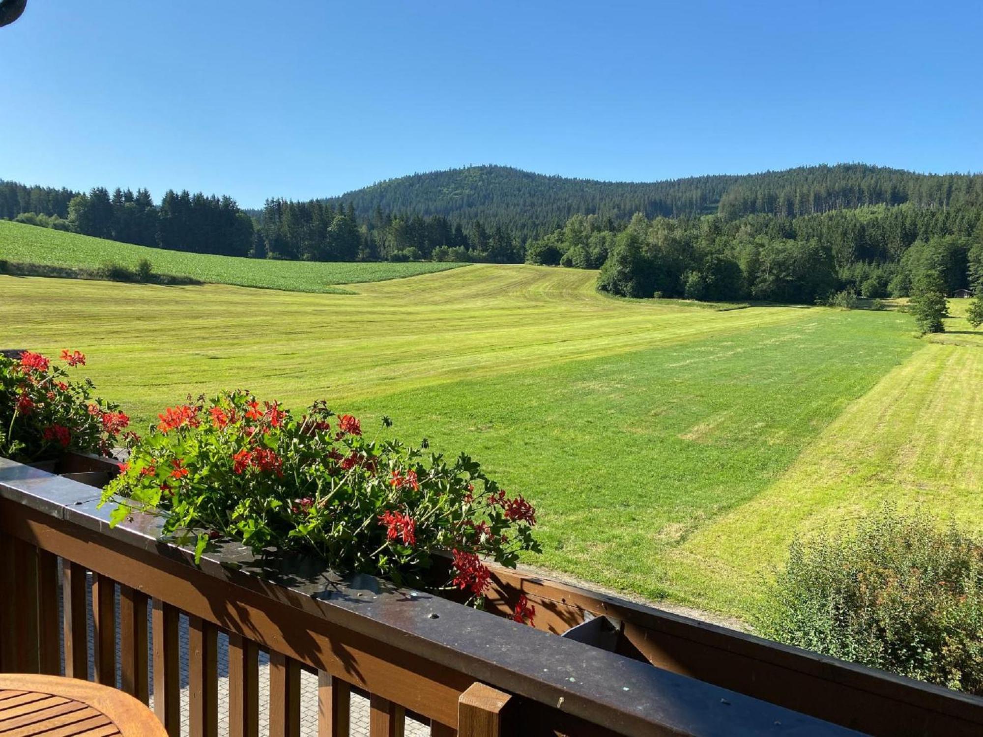 Ferienwohnungen Holzferienhaeuser Leithenwald Zwiesel Luaran gambar